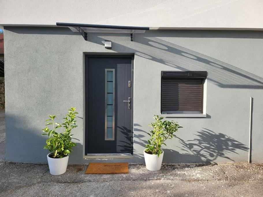 Appartement T2 Frangy Εξωτερικό φωτογραφία